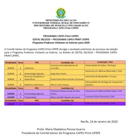 Edital Nº 08/2019 - resultado preliminar seleção para o Programa Professor Visitante no Exterior